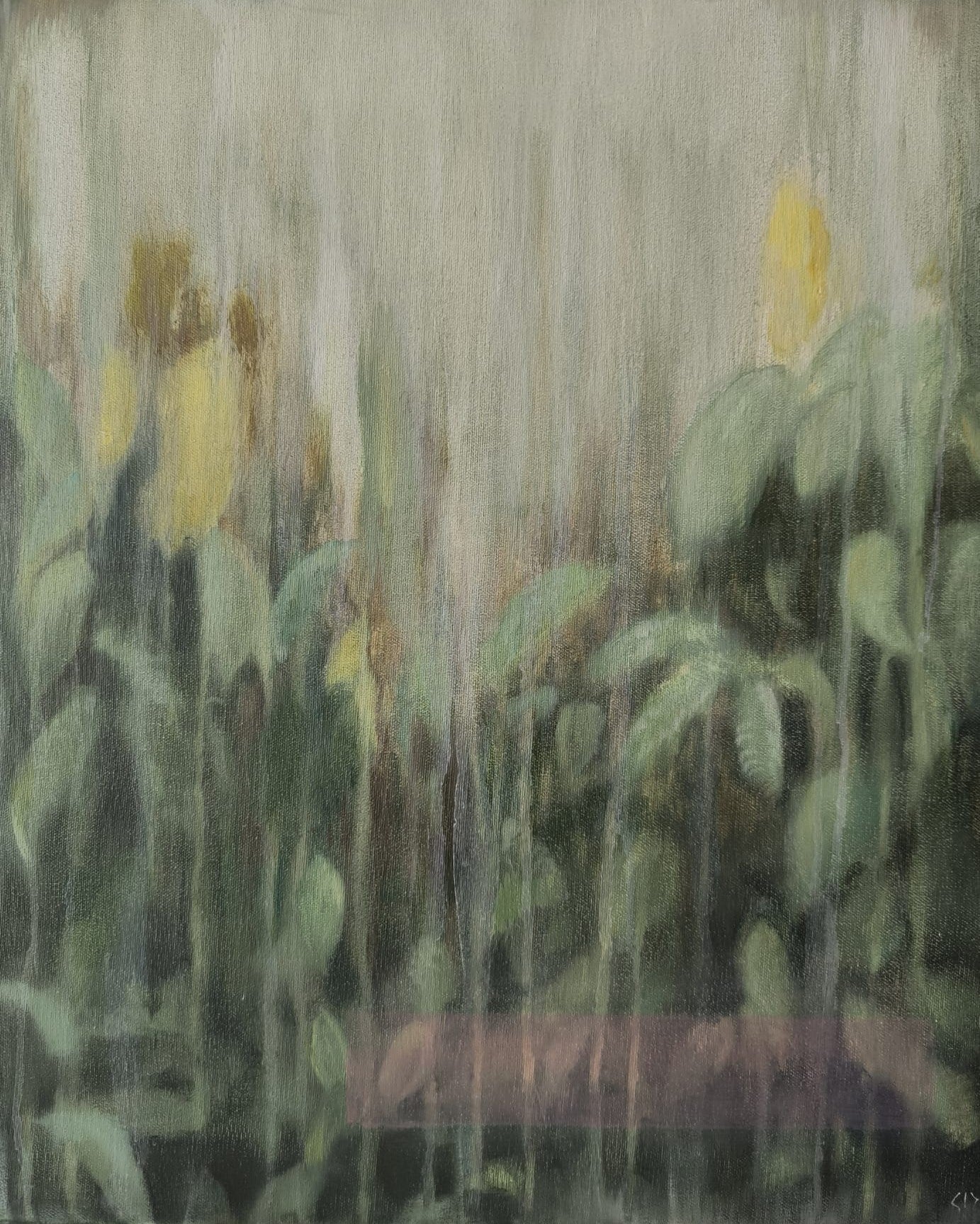 Stillness XVII