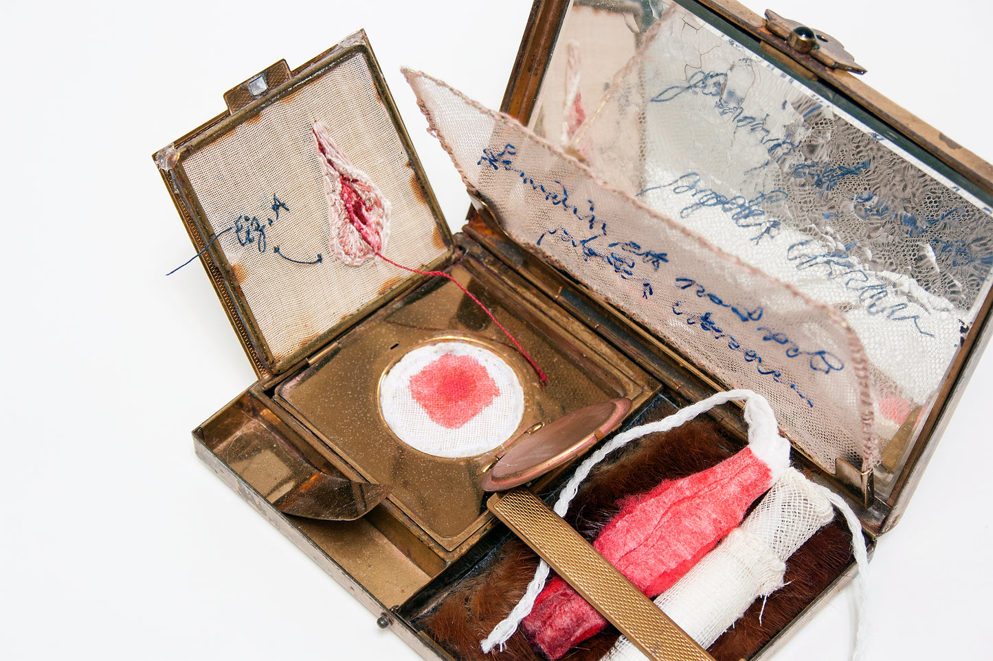 Feminist est quod est propter uterum