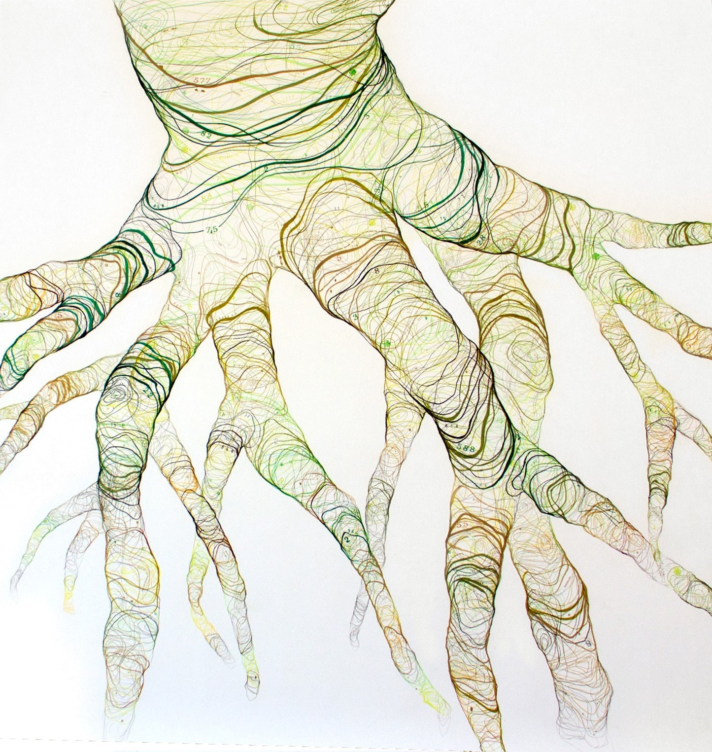 Homologías del recuerdo