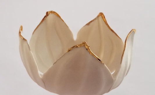 Flor de mandrágora