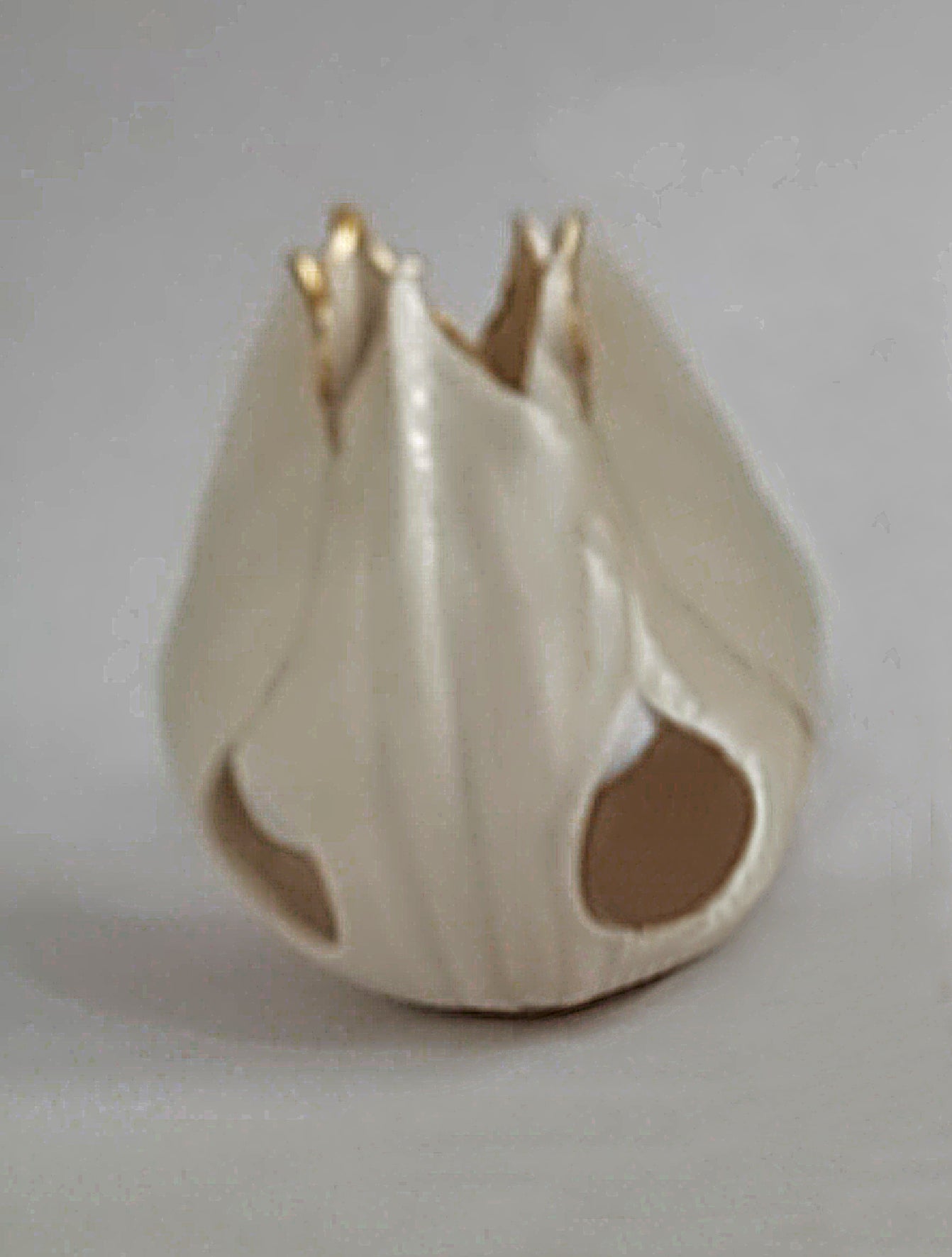 Flor de mandrágora