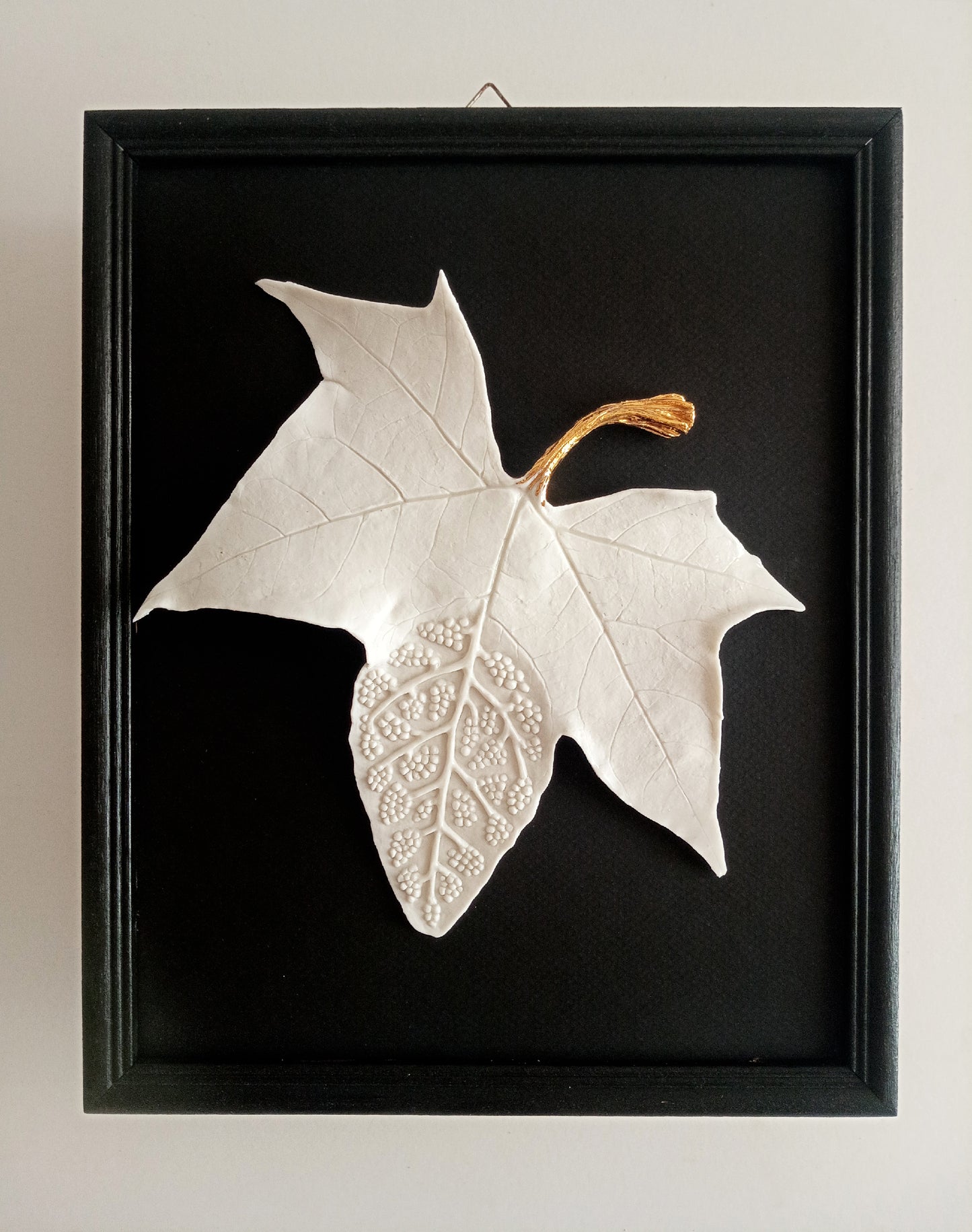Feuille platane écorchée