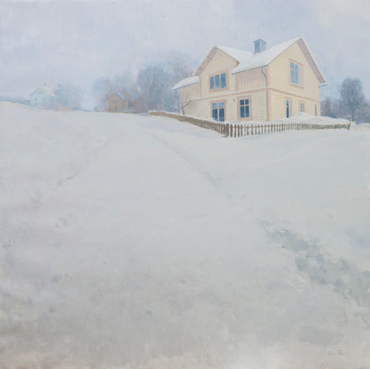 Día de frío y nieve