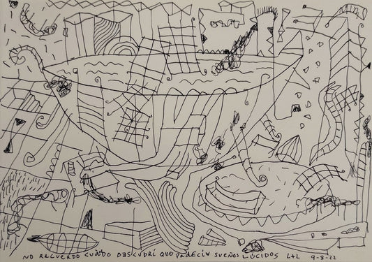 No recuerdo cuándo descubrí que padecía sueños lúcidos