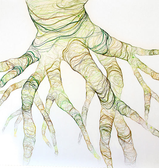 homologias de memória